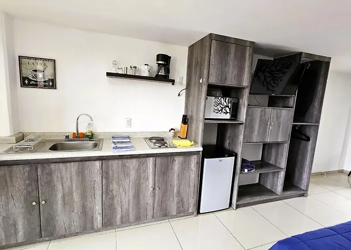 Apartment S01 King Size Premium Frente Al Tec Cem Con Cocineta Wifi Balcon Parking Terraza